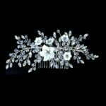Variation picture for Silver-Clear