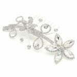 Variation picture for Silver-Clear