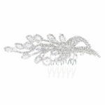 Variation picture for Silver-Clear
