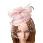 blush pinkHT0408100811 Flower Mesh Veil Flapper Fascinator s16