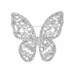 Variation picture for Silver-Clear