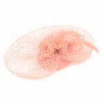 FashionFantasia Wholesale Head Pieces Fascinator HP300029 HP00414 Peach OP.jpg FashionFantasia Wholesale Head Pieces Fascinator HP300029 HP00414 Peach OP.jpg