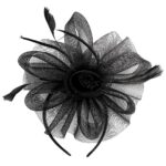 Variation picture for Black