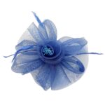 Variation picture for Blue