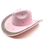 Variation picture for Pink