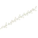 Variation picture for Silver-Clear