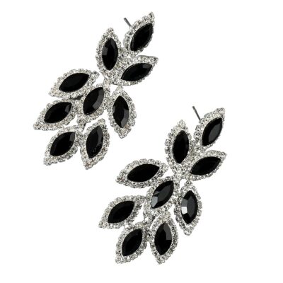 silver-jet-black