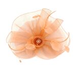 FF912PC Mesh Flower Fascinator Kentucky Derby Teaparty Tulle Elegant Chic