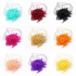 FF917 Mesh Flower Fascinator Kentucky Derby Teaparty Tulle Veil Chic