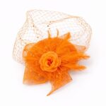 FF917OG Mesh Flower Fascinator Kentucky Derby Teaparty Tulle Veil Chic
