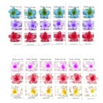 H1612-1 12pk Mini Plumeria Flower Snap Hair Clips 36pk Frangipani Small Barrettes Kids